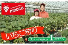 いちご畑maccaで使えるいちご狩り（小学生以上１名）チケット (09-17)