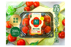 11月末～12月発送予約【霧で育てた濃厚な味】霧のトマト 200ｇ×12パック(18-14)
