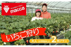 17-27 いちご畑maccaで使えるいちご狩り（小学生以上２名）チケット