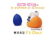 30-51 【MOGU】ビーズソファ「Fit Chair（フィットチェア）」（本体・カバーセット）BR