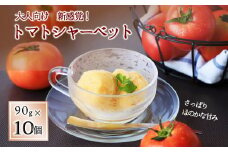 【大人向け 新感覚！】トマトシャーベット・10個入 (10-51)