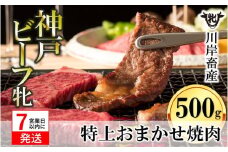【神戸牛 牝】【7営業日以内発送】特上 焼肉 おまかせセット（500g）（25-10）