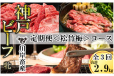 【神戸牛 牝 定期便】いろんな神戸ビーフを味わう〈松竹梅〉定期便コース（合計2,900g）　（300-5）