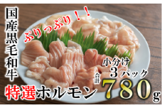 【国産黒毛和牛】特選ホルモン780ℊ　260g×3パック 小分け (10-67)