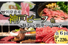 【神戸牛 牝 定期便】6回に分けてお届け 神戸ビーフ〈贅沢〉定期便コース（合計7,220g）　（500-2）