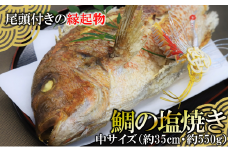 【尾頭付きの縁起物】 活塩焼き鯛（中サイズ） 1匹（約35㎝・約550g） （15-49）