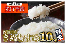【新米先行予約】きぬむすめ 10kg 白米 令和７年産 (33-31) 米 お米 こめ コメ 人気 西脇市産 精米