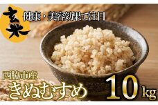 【きぬむすめ】令和６年産 新米 玄米10kg（10kg×1袋）(19-42) 健康志向の方におすすめ 米 お米 こめ コメ きぬむすめ 人気 玄米 健康