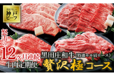 【神戸牛・年間定期便】黒田庄和牛特選モモ・肩ロース贅沢極コース＜冷蔵＞（焼肉・すき焼き・しゃぶしゃぶ・ステーキから選べます！）　（600-1）神戸牛 神戸ビーフ 定期便 黒田庄和牛 黒毛和牛 高級黒毛和牛 但馬牛 黒田庄 ごちそう 満足 プレミアム 高級 焼き肉 焼肉 すき焼き しゃぶしゃぶ BBQ ステーキ 贅沢