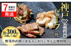 【神戸牛 牝】【7営業日以内発送】焼き肉用 味付け肉 3種 計300g（100g×3種）川岸畜産(09-27)