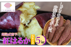 【予約:1月下旬発送予定】超熟成蜜芋「こいもあまいも」紅はるか Sサイズ 合計5㎏（10-81）　さつまいも