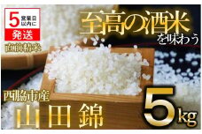 【令和５年産 山田錦】白米５kg（５kg×1袋）【５営業日以内に発送】(13-32)