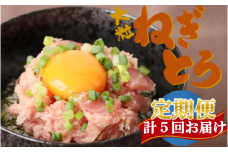 【計5回お届け】天然マグロねぎとろ定期便 計2.5㎏（30-53）