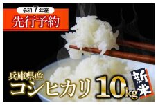 【新米先行予約】コシヒカリ 10kg 白米 令和７年産【9月中旬頃～順次発送】 (34-13) 米 お米 10kg 米10kg 兵庫県産 こしひかり コシヒカリ 西脇市産 令和7年産 R7年産 2025年産 精米