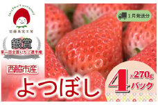 《2026年産先行予約》「西脇市産 佐藤果実工房のよつぼし」（約270g×４パック 約1,080g）【佐藤果実工房 全国いちご選手権銀賞受賞農園 TVで紹介!】令和８年１月中旬配送分（12-42）