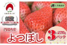 《2026年産先行予約》「西脇市産 佐藤果実工房のよつぼし」（約270g×３パック 約810g）【佐藤果実工房 全国いちご選手権銀賞受賞農園 TVで紹介!】令和８年２月上旬配送分（09-39）