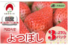《2026年産先行予約》「西脇市産 佐藤果実工房のよつぼし」（約270g×３パック 約810g）【佐藤果実工房 全国いちご選手権銀賞受賞農園 TVで紹介!】令和８年３月中旬配送分（09-39）
