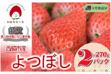 《2026年産先行予約》「西脇市産 佐藤果実工房のよつぼし」（約270g×２パック 約540g）【佐藤果実工房 全国いちご選手権銀賞受賞農園 TVで紹介!】令和８年３月下旬配送分（07-45）