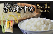 【ブランド米 きぬむすめ】精米5kg（5kg×1）(10-104)