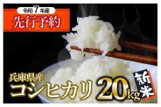 【新米先行予約】コシヒカリ 20kg 白米 令和７年産 (68-6) 米 お米 20kg 米20kg 兵庫県産 こしひかり コシヒカリ 西脇市産 令和7年産 R7年産 2025年産 精米