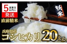 【スピード発送】【新米】コシヒカリ 20kg 白米 令和７年産 (60-17) 米 お米 20kg 米20kg 兵庫県産 こしひかり コシヒカリ 西脇市産 令和7年産 R7年産 2025年産 精米