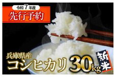 【新米先行予約】コシヒカリ 30kg 白米 令和７年産 (102-1) 米 お米 30kg 米30kg 兵庫県産 こしひかり コシヒカリ 西脇市産 令和7年産 R7年産 2025年産 精米
