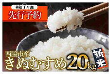 【新米先行予約】きぬむすめ 20kg 白米 令和７年産 (66-23) 米 お米 こめ コメ 人気 西脇市産 精米