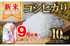 【新米先行予約】新米 コシヒカリ 10kg 白米【9月中旬～順次発送】令和７年産（36-25）精米 直前精米 新米 化学肥料不使用 有機米 お米 こめ コメ こしひかり 人気 兵庫県産 精米