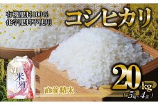 【新米先行予約】令和７年産 新米 コシヒカリ 20kg 白米【9月下旬～順次発送】精米 直前精米 新米 化学肥料不使用 有機米 お米 こめ コメ こしひかり 人気 兵庫県産 精米（72-7）