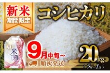 【新米先行予約】新米 コシヒカリ 20kg 白米【9月中旬～順次発送】令和７年産（72-7）精米 直前精米 新米 化学肥料不使用 有機米 お米 こめ コメ こしひかり 人気 兵庫県産 精米