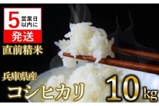 【スピード発送】【数量限定】令和6年産 コシヒカリ 10kg 白米  (24-20) 米 お米 10kg 米10kg 兵庫県産 こしひかり コシヒカリ 西脇市産 令和６年産 R6年産 2024年産 精米
