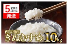 【スピード発送】【数量限定】令和6年産 きぬむすめ 10kg 白米  (22-64) 米 お米 10kg 米10kg 兵庫県産 西脇市産 令和６年産 R6年産 2024年産 精米