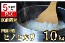 【スピード発送】【数量限定】令和6年産 ヒノヒカリ 10kg 白米  (22-65) 米 お米 10kg 米10kg 兵庫県産 ひのひかり ヒノヒカリ 西脇市産 令和６年産 R6年産 2024年産 精米