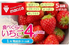 「ひょうご推奨ブランド」認証「西脇市産いちご４種セット」（1箱４パック）～いちご畑macca～（11-47） 令和８年１月上旬配送分