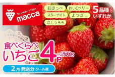「ひょうご推奨ブランド」認証「西脇市産いちご４種セット」（1箱4パック）～いちご畑macca～（11-47） 令和８年２月上旬配送分