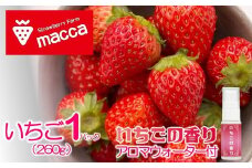 maccaのいちご1パックといちごのアロマウォーターセット～いちご畑macca～（08-52） 令和８年２月下旬配送