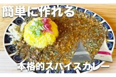 スパイスカレーが簡単に作れるキット （KANTAN spice SET）