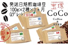 【宝塚】miniｻｲｽﾞ3ヶ月定期便C（当日自家焙煎珈琲6種 計600g）【粉】