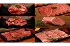 【神戸牛】部位食べ比べセット　計約1.2㎏　しゃぶしゃぶ・ステーキ・焼肉・煮込み