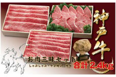 神戸牛(神戸ビーフ) お肉三昧セット　2400ｇ