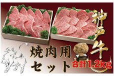 神戸牛(神戸ビーフ) 焼肉セット（かたロース・かたもも）1200ｇ