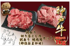 神戸牛(神戸ビーフ) 訳あり 切り落とし肉と焼肉用（不揃い）セット 500gずつ 計1kg　BBQ　肉　国産　牛肉　神戸牛　神戸ビーフ　焼肉　切り落とし　バラ　モモ　肩　カタ　夏休み　バーベキュー　キャンプ　レジャー　1000g