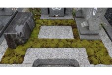 D-26   スナゴケで墓地緑化１㎡