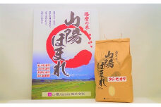 特別栽培米山陽ほまれ コシヒカリ 10kg[髙島屋選定品］65A1173 