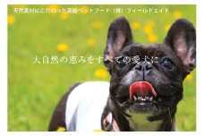 B-192 犬のおやつ 小袋5点セット