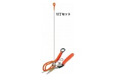 R-11 アスパラ収獲鋏12丁セット