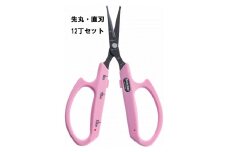 N-50 ぶどうお手入れ鋏先丸直刃12丁セット