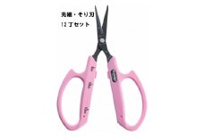 N-51 ぶどうお手入れ鋏先細そり刃12丁セット