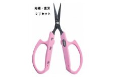 N-52 ぶどうお手入れ鋏先細直刃12丁セット