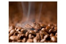 バランタイン自家焙煎コーヒー豆800g（豆のまま）「3か月連続お届け」